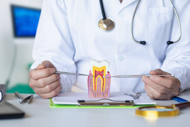 Best Urgent Dental Care for Toothache in Hercules, CA